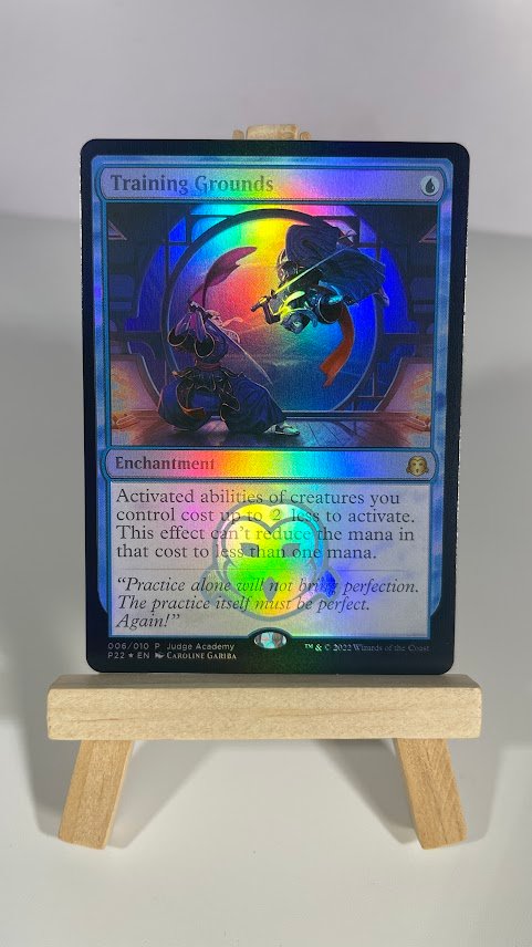 Training Grounds judge 2022 Training Grounds judge 2022 - Image 1