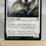 Youthful Valkyrie
