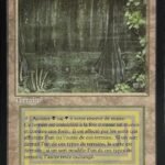 Bayou    FBB French
