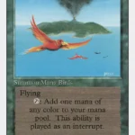 Birds of Paradise Revised
