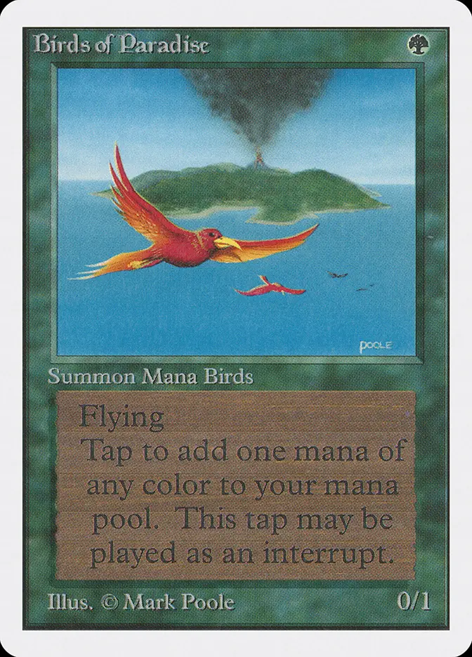 Birds of Paradise unlimited Birds of Paradise unlimited - Image 1