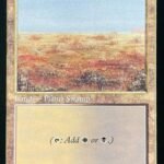 Scrubland 30th old frame