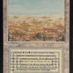 Scrubland FBB French