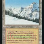 Taiga FBB Italian