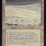 Tundra FBB French
