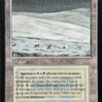 Tundra FBB Italian